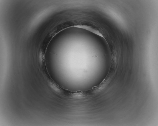 X0000116100574200911231128