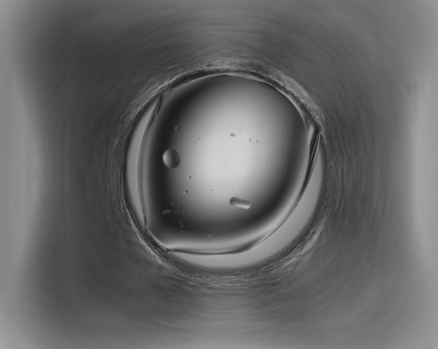 X0000116100577200911231127