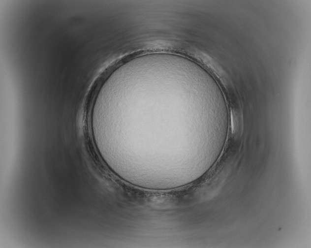 X0000116100579200911231127