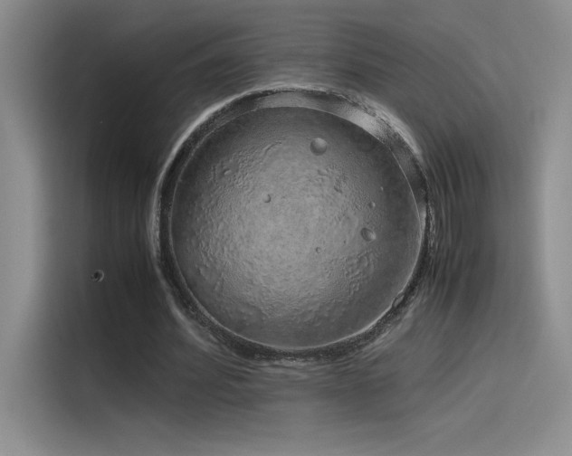 X0000116100580200911231127