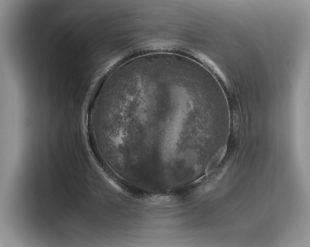 X0000116100581200911231127