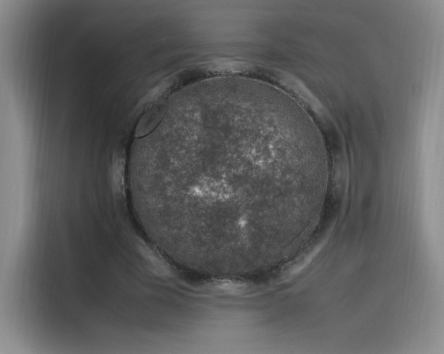 X0000116100585200911231127