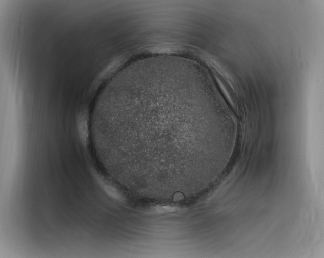X0000116100586200911231127