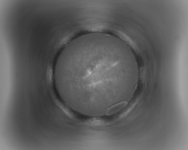 X0000116100589200911231127