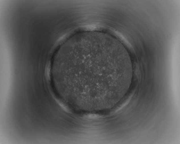 X0000116100590200911231127