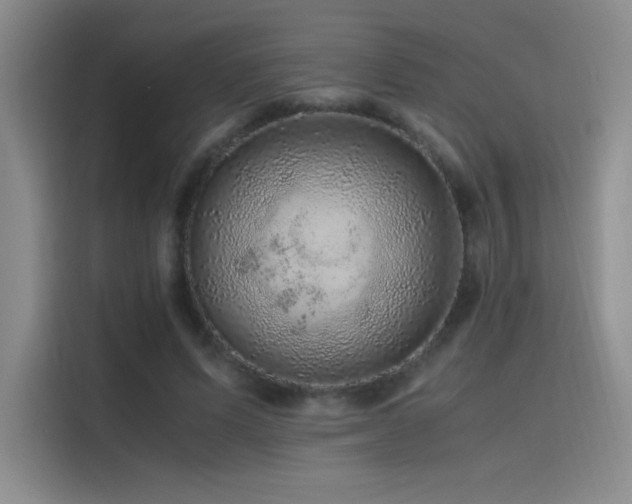 X0000116100591200911231127