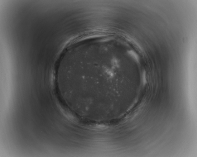 X0000116100592200911231127