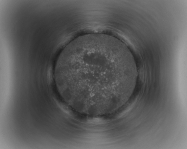 X0000116100594200911231127
