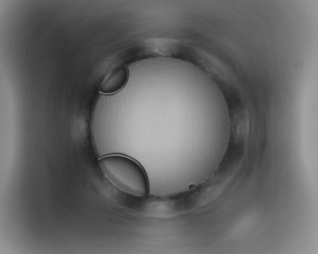 X0000116100595200911231127