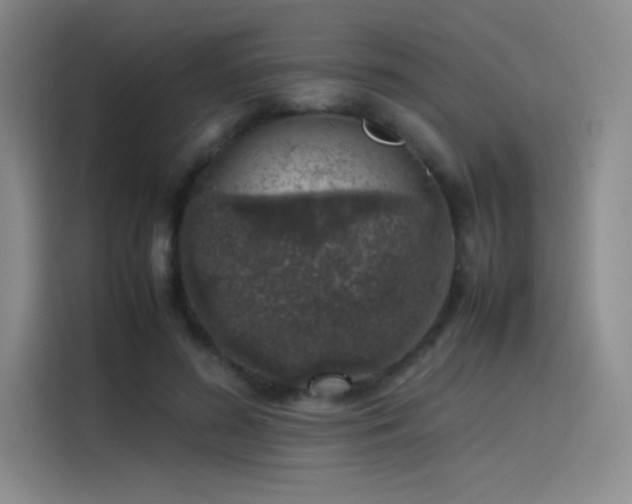 X0000116100596200911231127