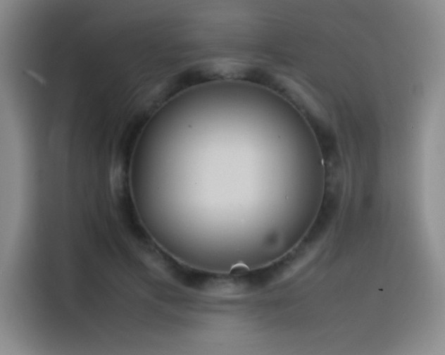 X0000116100597200911231127