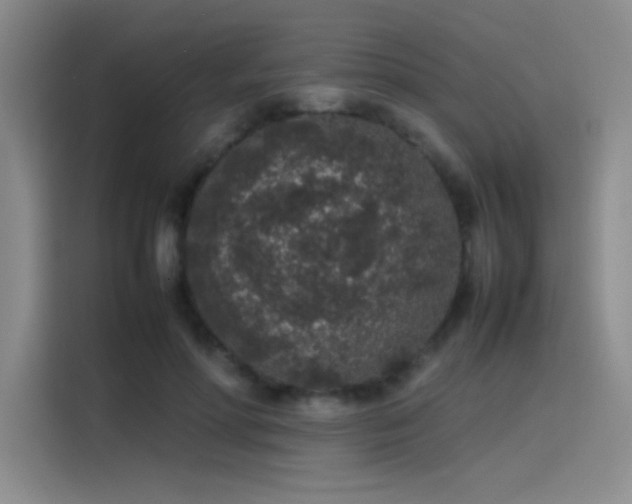 X0000116100598200911231127