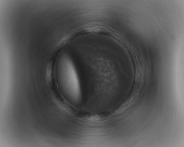 X0000116100600200911231127