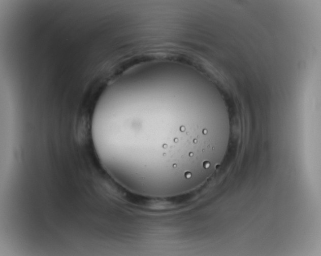 X0000116100605200911231127