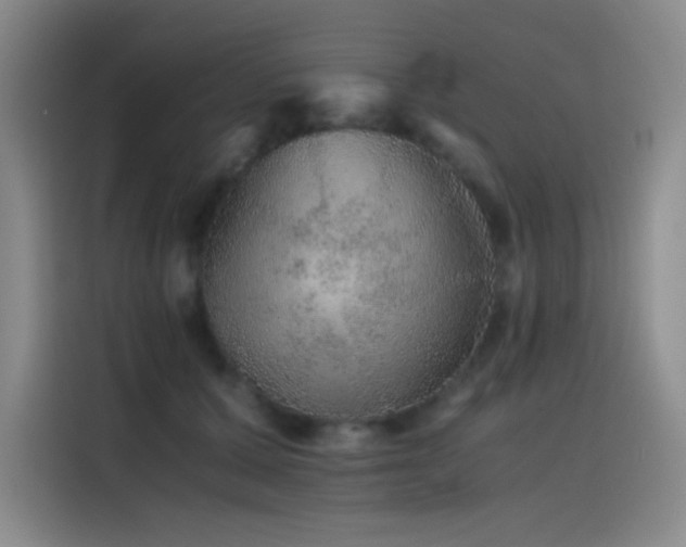 X0000116100607200911231127