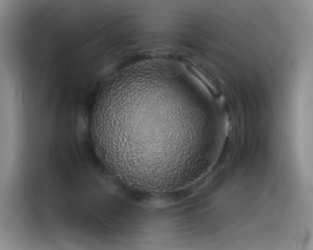 X0000116100608200911231127