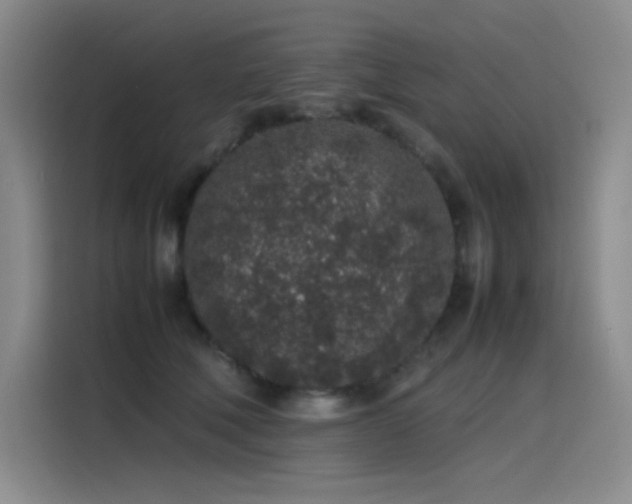 X0000116100610200911231127