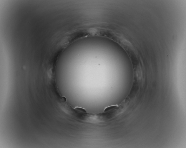 X0000116100611200911231127