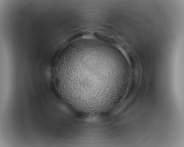 X0000116100612200911231127