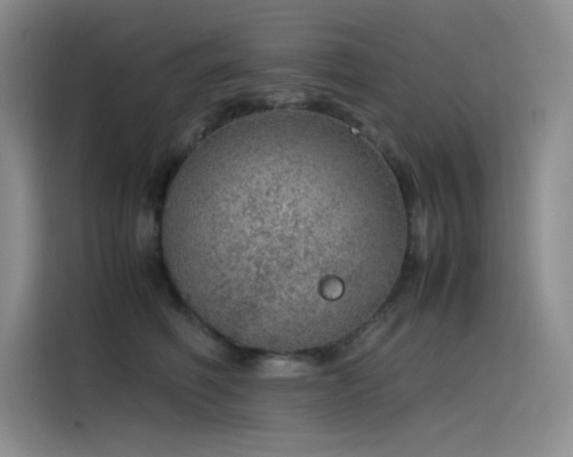X0000116100614200911231127