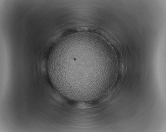 X0000116100616200911231127