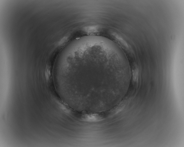 X0000116100618200911231127