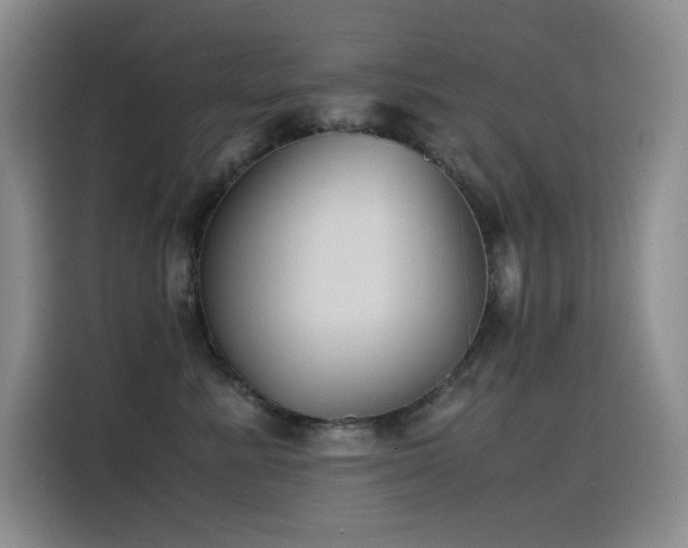 X0000116100619200911231127