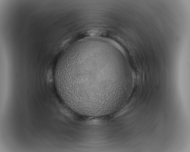 X0000116100620200911231127