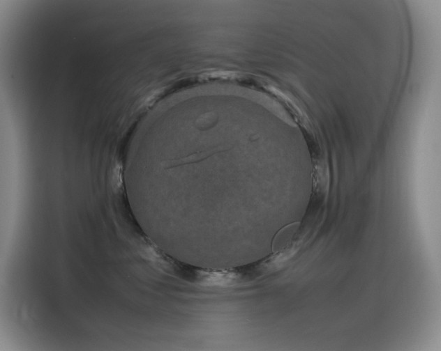 X0000116100621200911231127