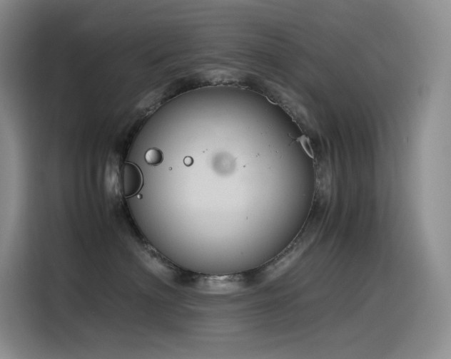 X0000116100622200911231127