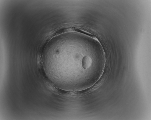 X0000116100624200911231127