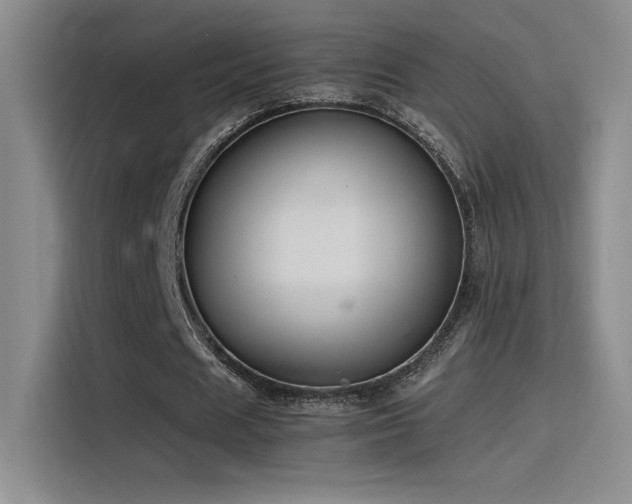 X0000116100625200911231126