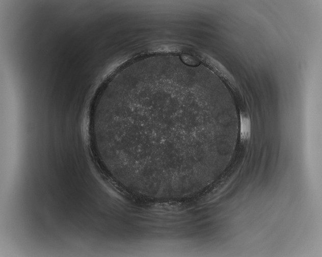 X0000116100627200911231126