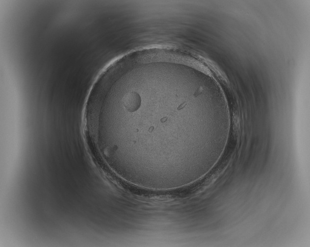 X0000116100628200911231126