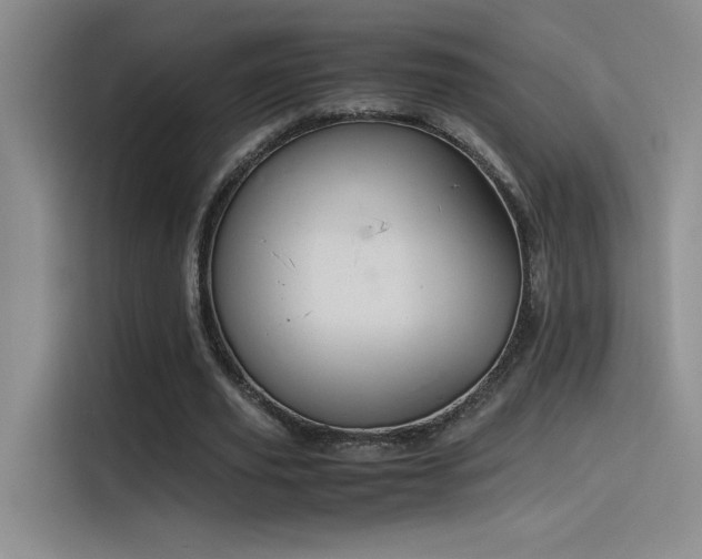 X0000116100629200911231126