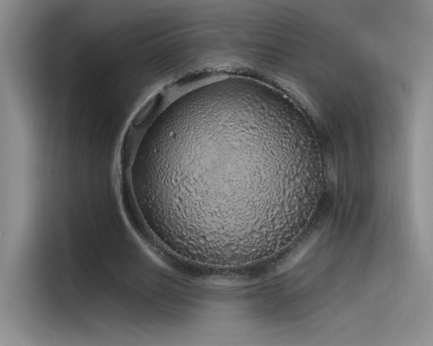 X0000116100630200911231126