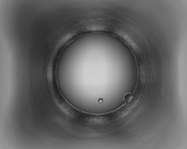 X0000116100631200911231126