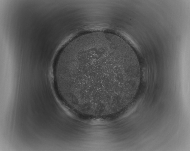 X0000116100634200911231126