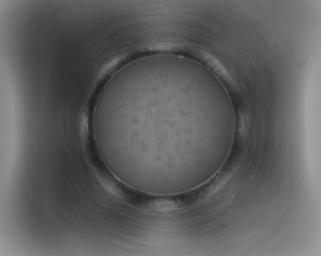 X0000116100636200911231126