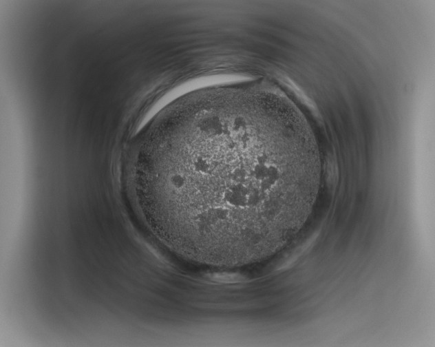 X0000116100637200911231126