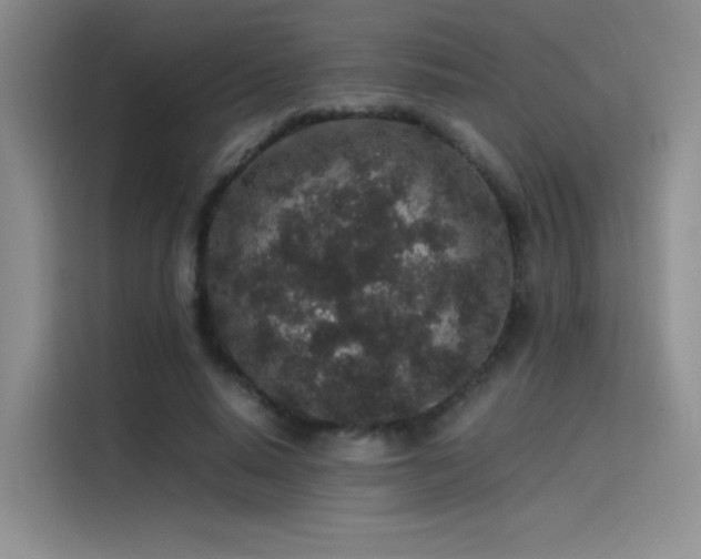 X0000116100640200911231126