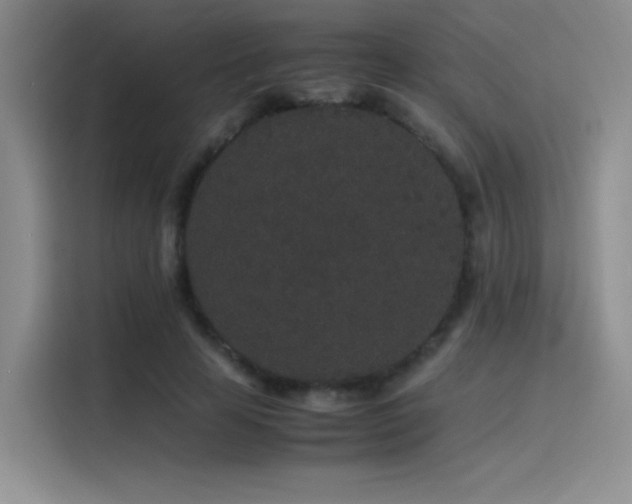 X0000116100641200911231126