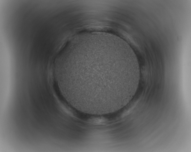 X0000116100642200911231126
