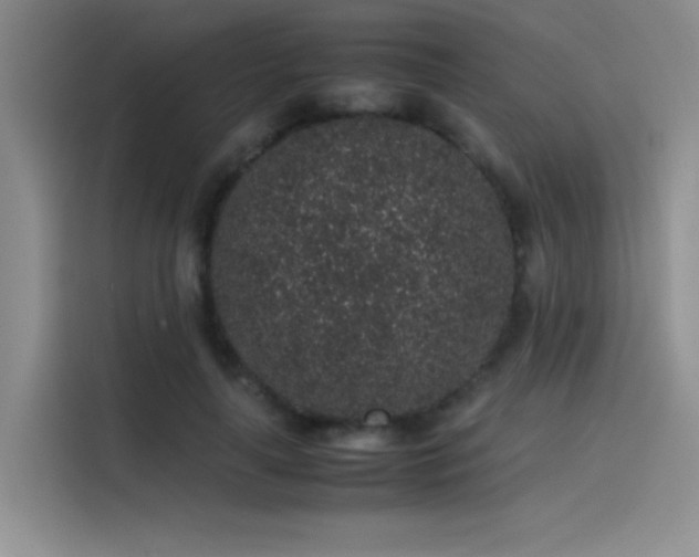 X0000116100643200911231126
