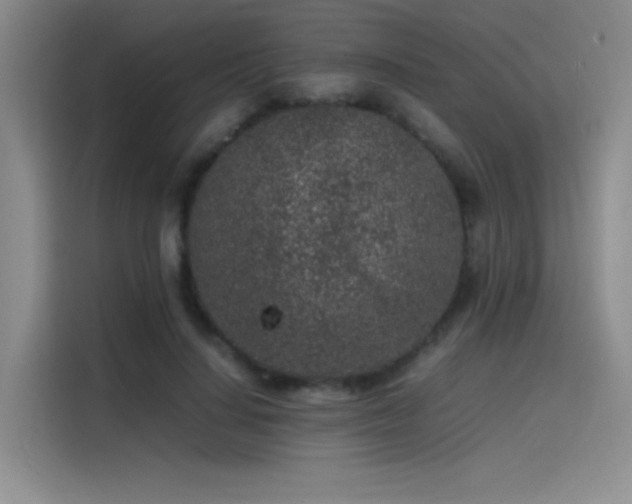 X0000116100644200911231126