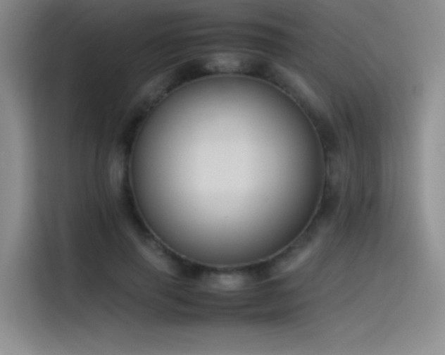 X0000116100645200911231126