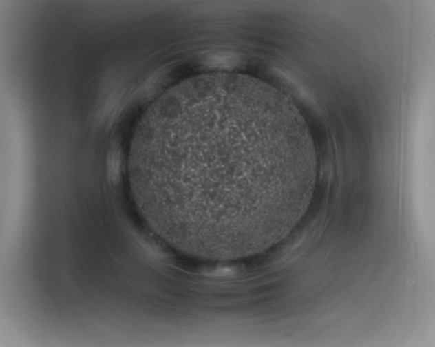 X0000116100647200911231126