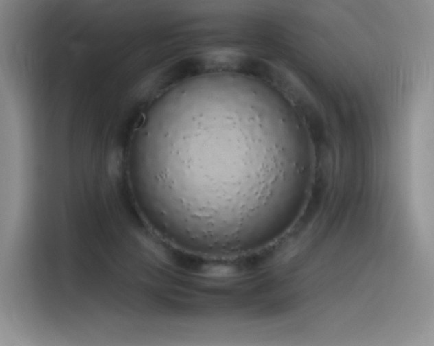 X0000116100649200911231126