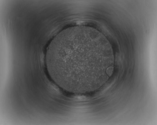 X0000116100650200911231126