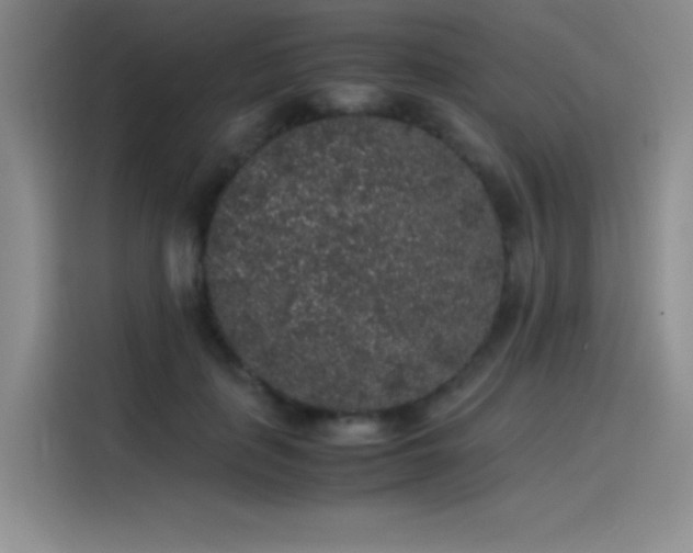 X0000116100651200911231126